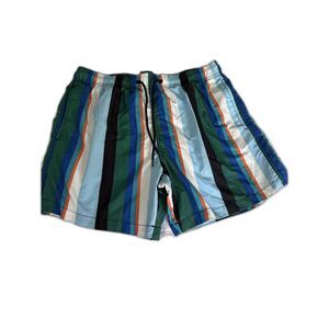 Men's M H&M Striped swim trunks
